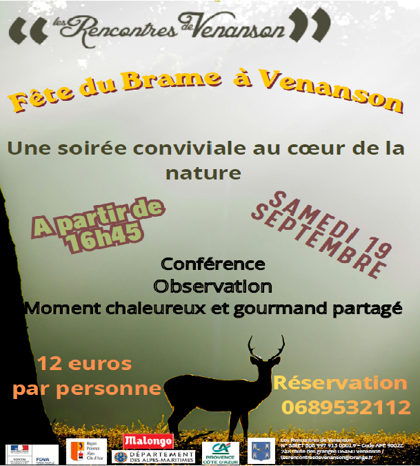 brame_du_cerf